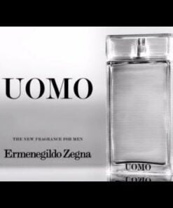 Ermenegildo Zegna Uomo 100 ml