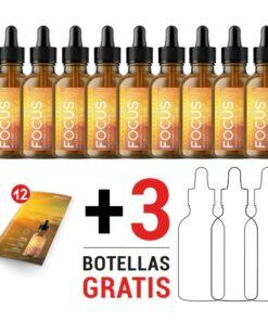 ESENCIALES PMB FOCUS x12