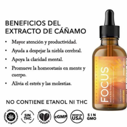 ESENCIALES PMB  FOCUS - Image 2